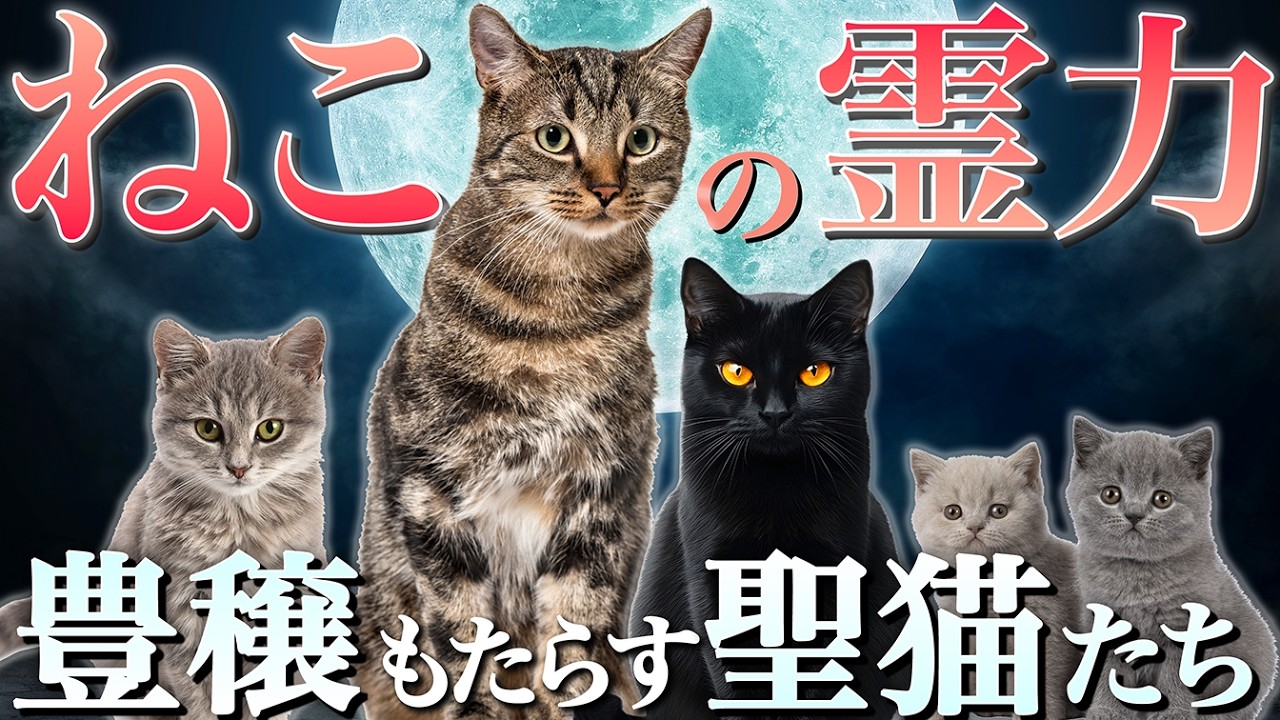【猫の神秘】幸運や豊穣を招く猫たちの恐るべき力とは？