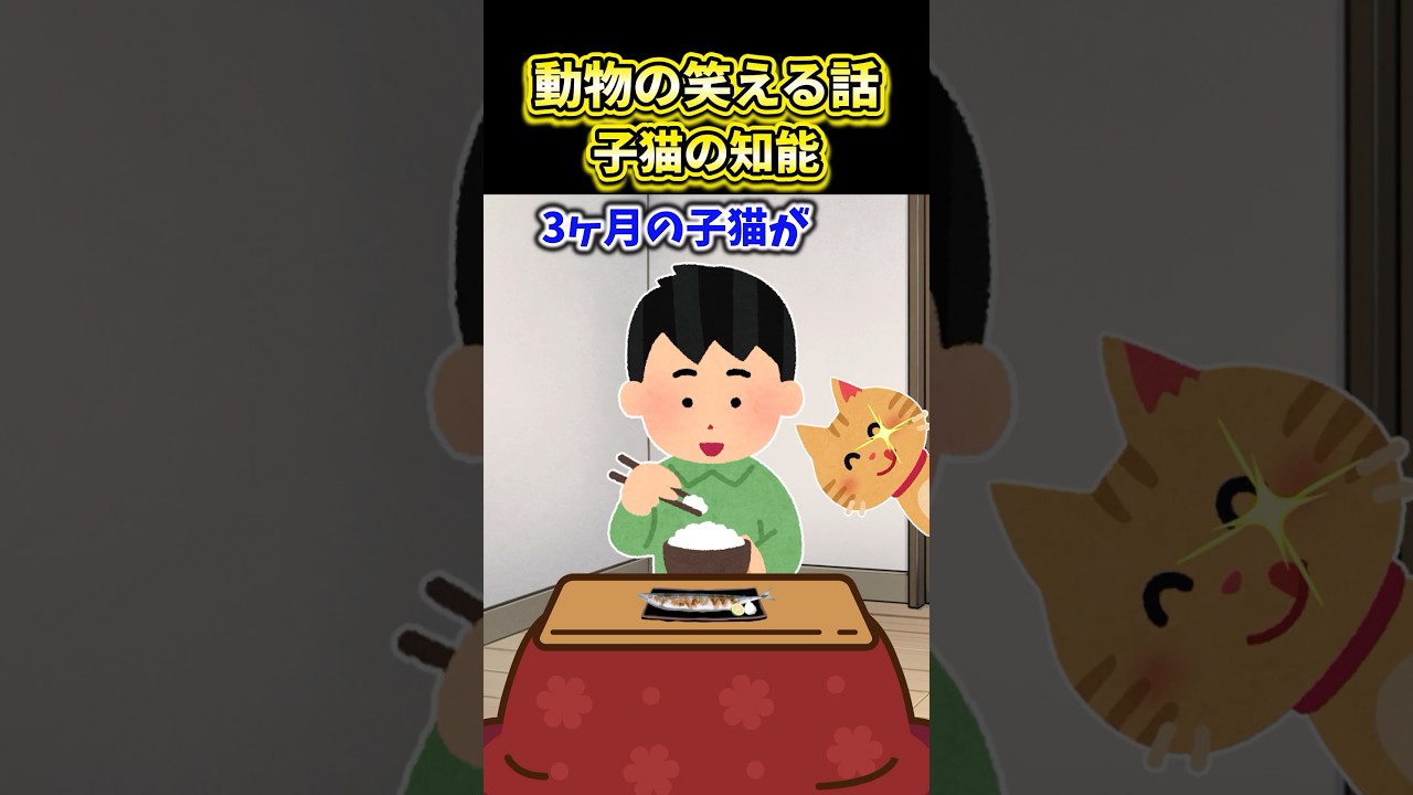 【2ch動物スレ】動物の笑える話〜子猫の知能〜