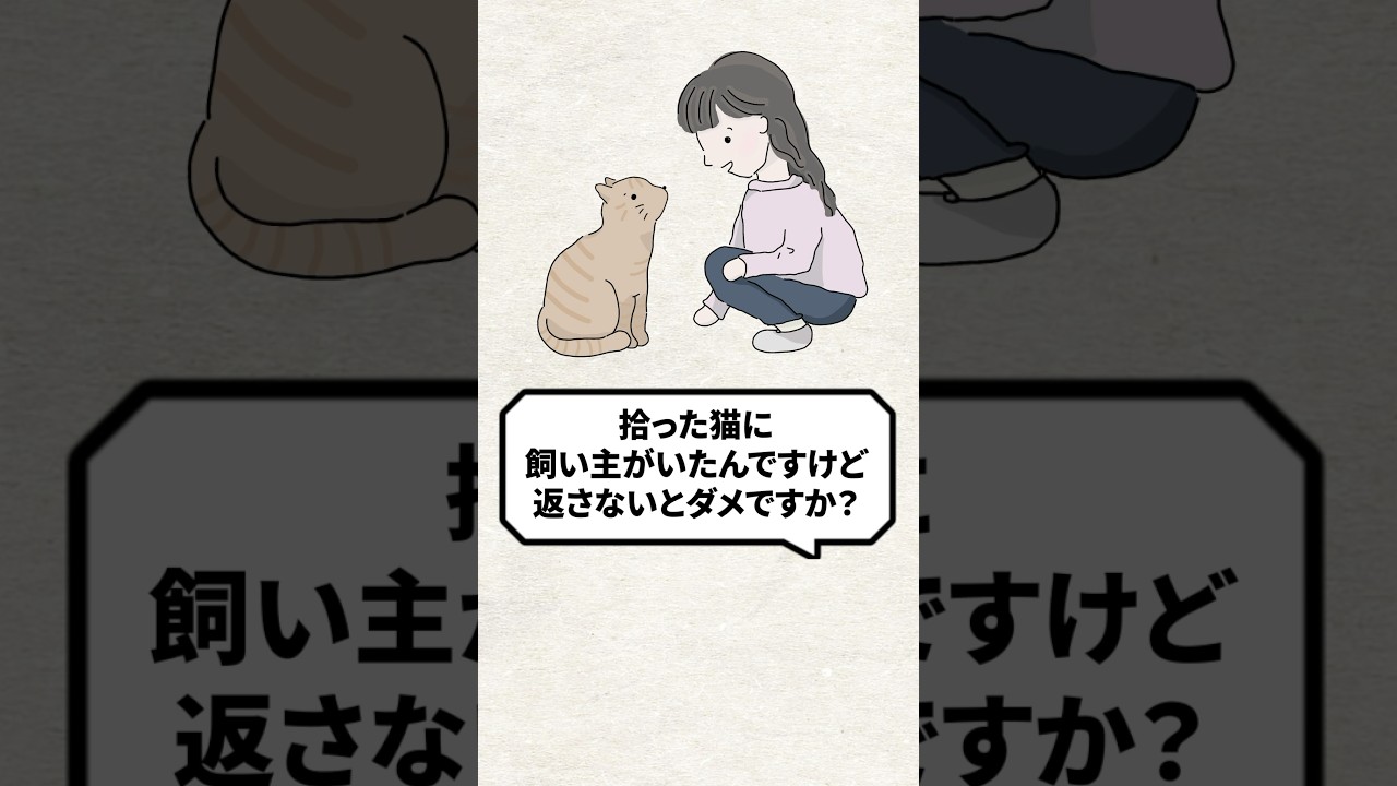 Q：拾った猫に飼い主がいたら返さないとダメ？ #猫 #保護猫 #野良猫