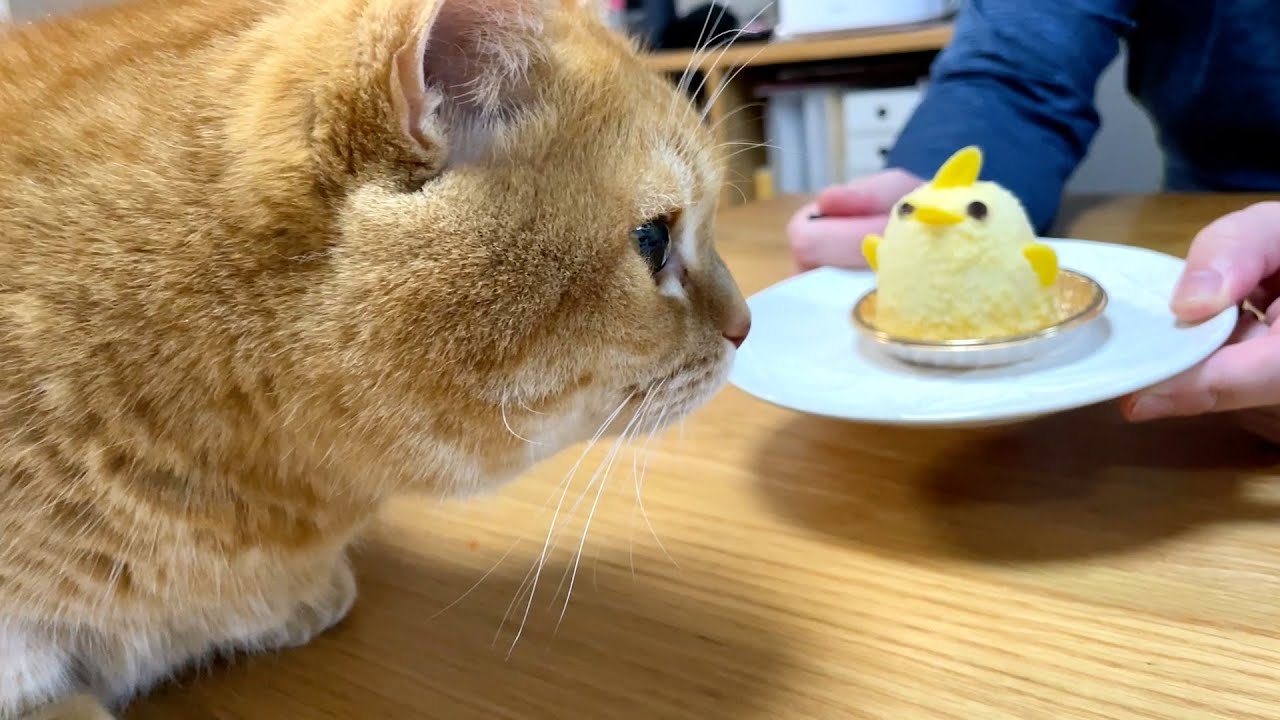 ぷりんとぴよりん