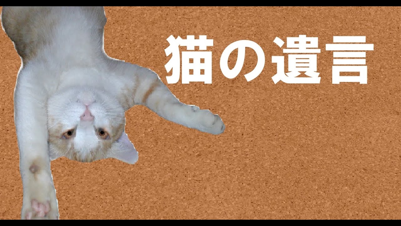 猫の遺言　サイキックからのプレゼント