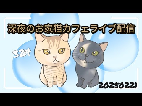 深夜のお家猫カフェライブ配信 ３２４
