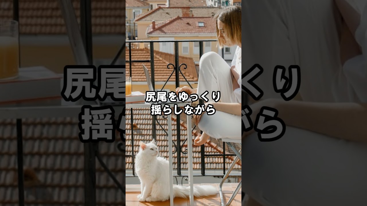 猫は寄り道！ #猫動画 #猫好き #雑学 #あるある #ねこ #ネコ #cat #shorts