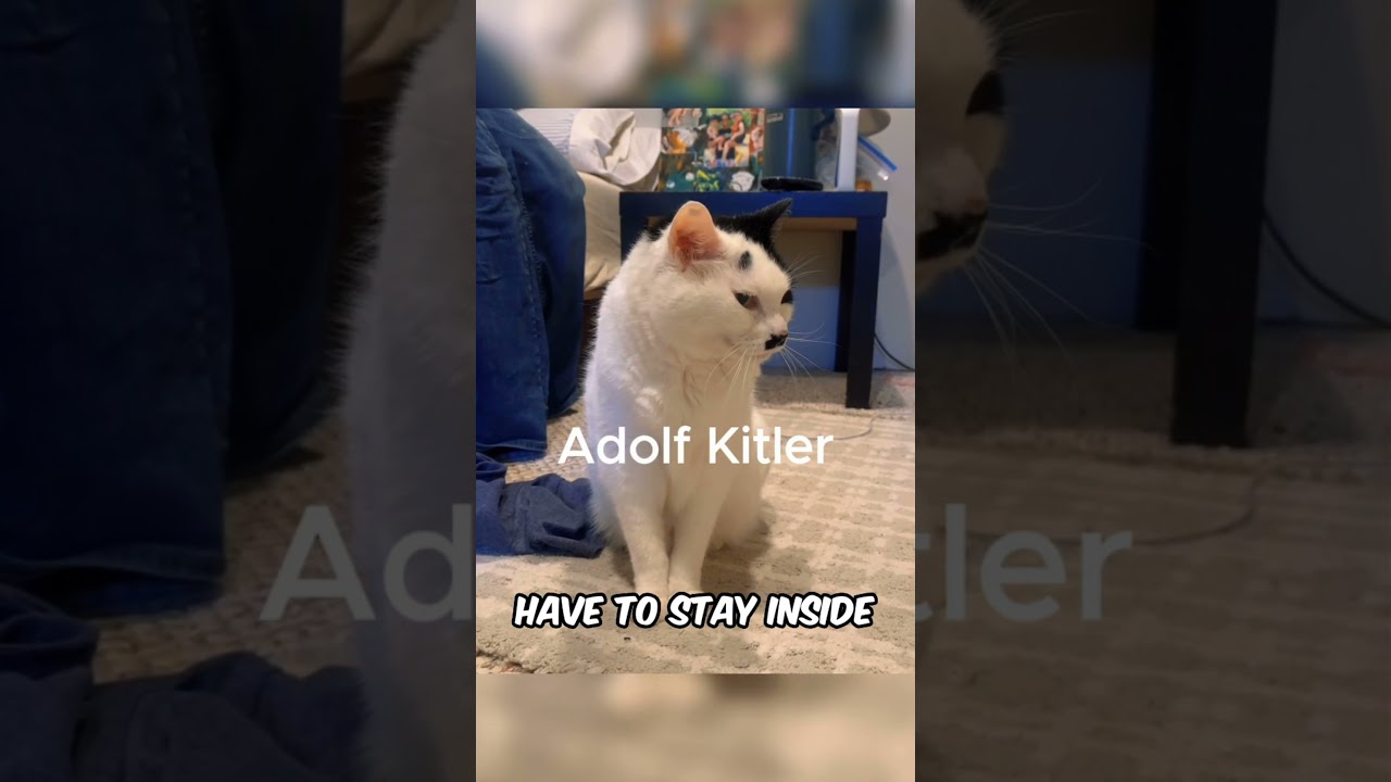 He is Ready for a Job Interview 🥰