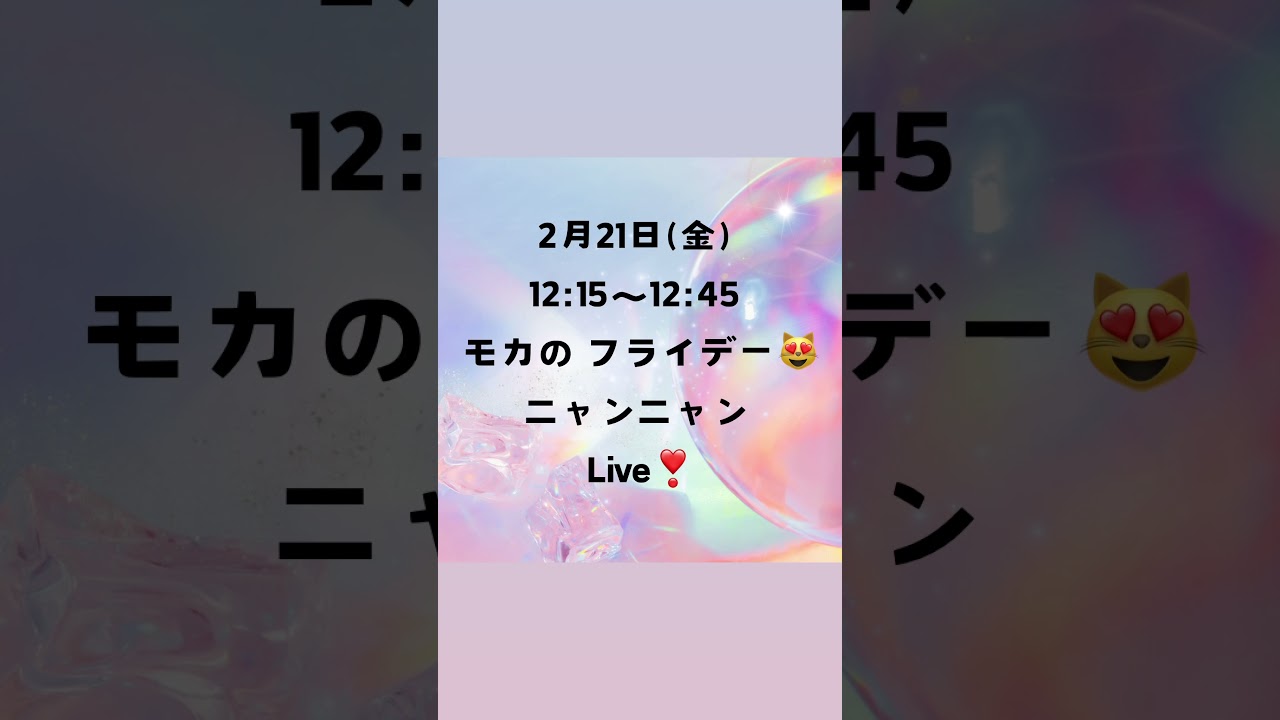 2/21 (金)12:15〜12:45モカの#サイベリアン の#子猫 ご紹介ライブ😻ご家族様募集中の子猫を配信します。TV猫カフェ放送記念！子猫全頭対象😻7万円割引キャンペーン#ペットショップ