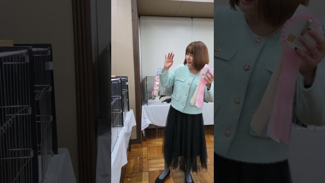 2025年2月22日トンキニーズキャットショー翔平君7位