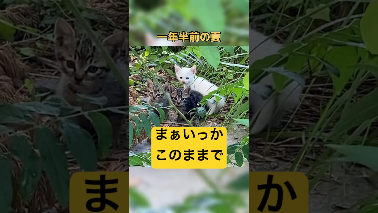 一年半も経つのに忘れられないチュッチュッの感覚