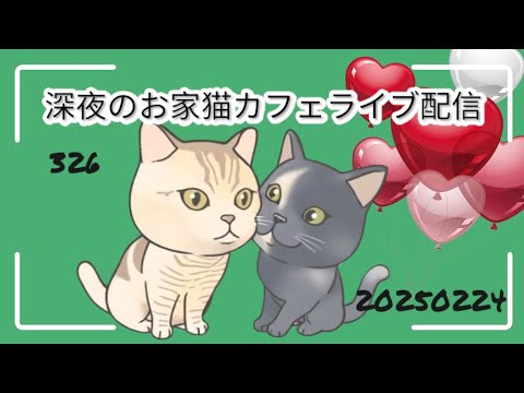 深夜のお家猫カフェライブ配信 ３２7