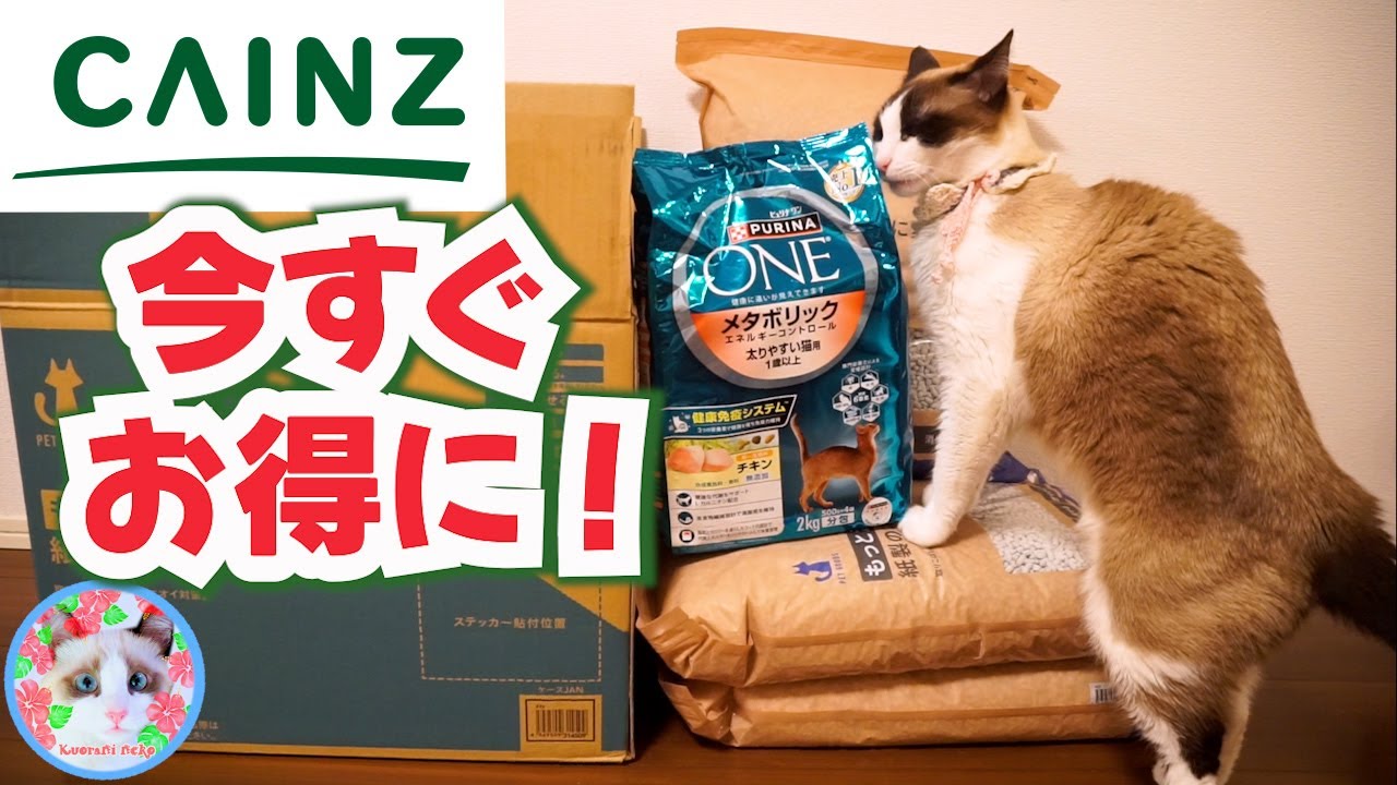 カインズの猫餌、猫砂を1000円以上安く買えます【カインズにゃん祭り2025】Special offers