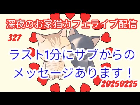 深夜のお家猫カフェライブ配信 ３２８ ラスト1分にサブからのメッセージあります
