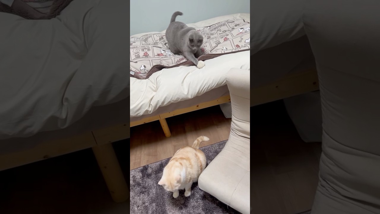 狙ったね