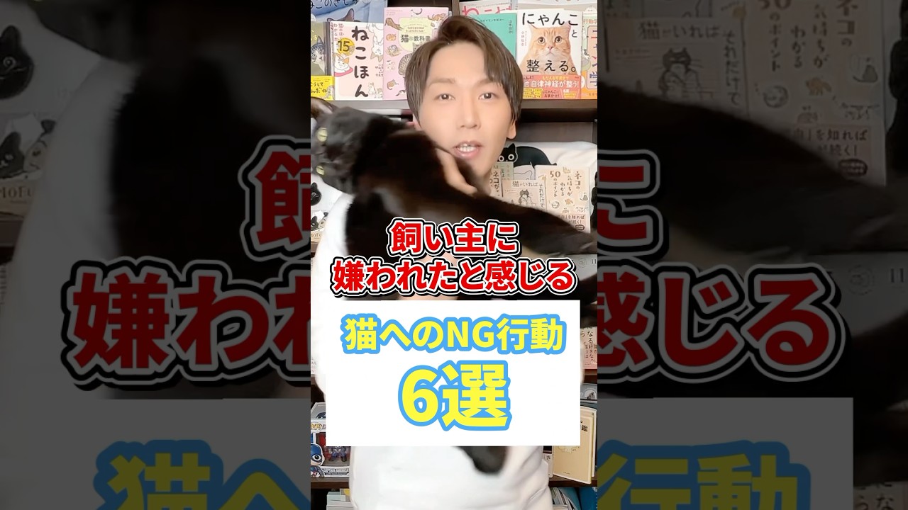 飼い主に嫌われたと感じる猫へのNG行動６選 #猫 #猫のいる暮らし #ねこ