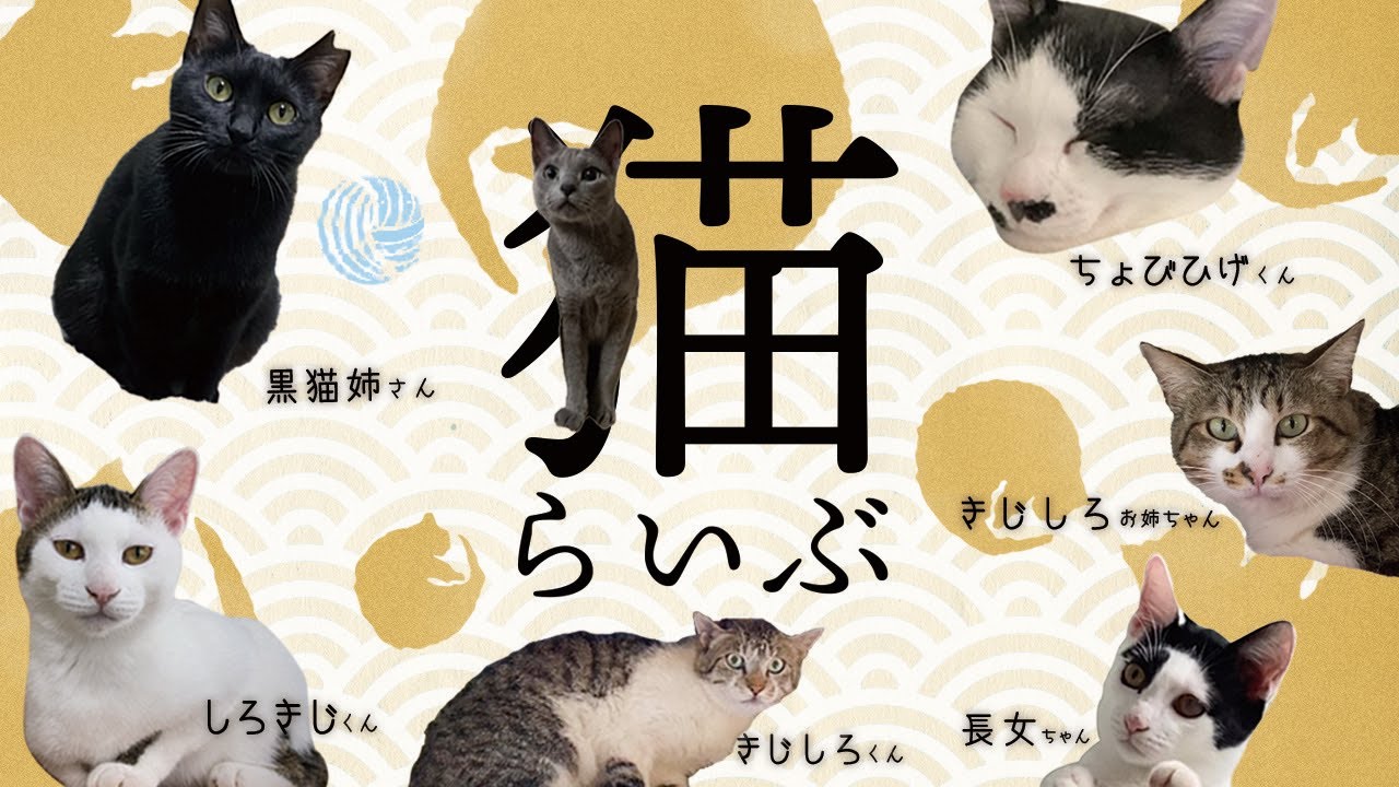 【 猫 】このLIVEは、保護猫ｼｪﾙﾀｰ運営における公正の確保と透明性の向上を図り、もって猫の権利利益の保護に資することを目的とする。(猫手続法１条)