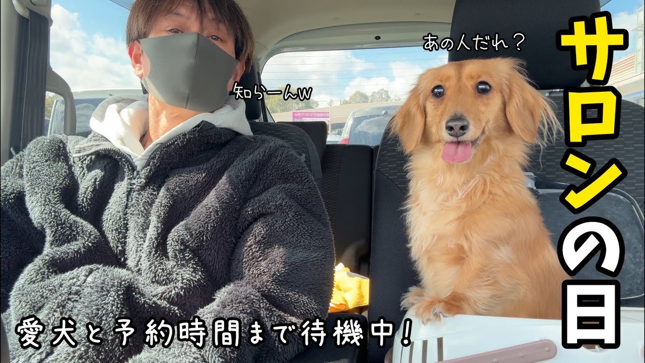 少し早めに着いたスーパーの駐車場で愛犬と過ごす15分が幸せでした