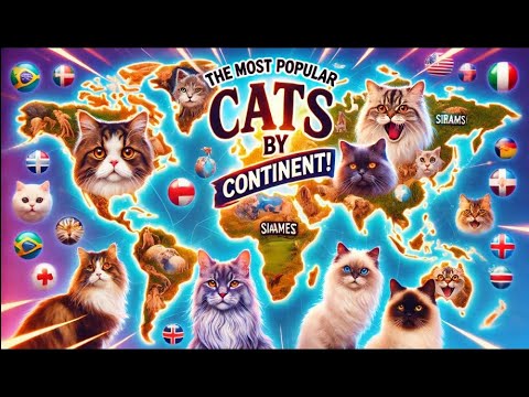 The Most Popular Cats by Continent