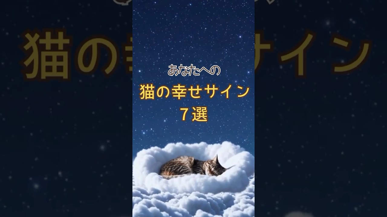 あなたへの猫の幸せサイン7選#猫 #cat #愛猫ライフ #ねこのいる暮らし #雑学 #幸せ#猫の不思議