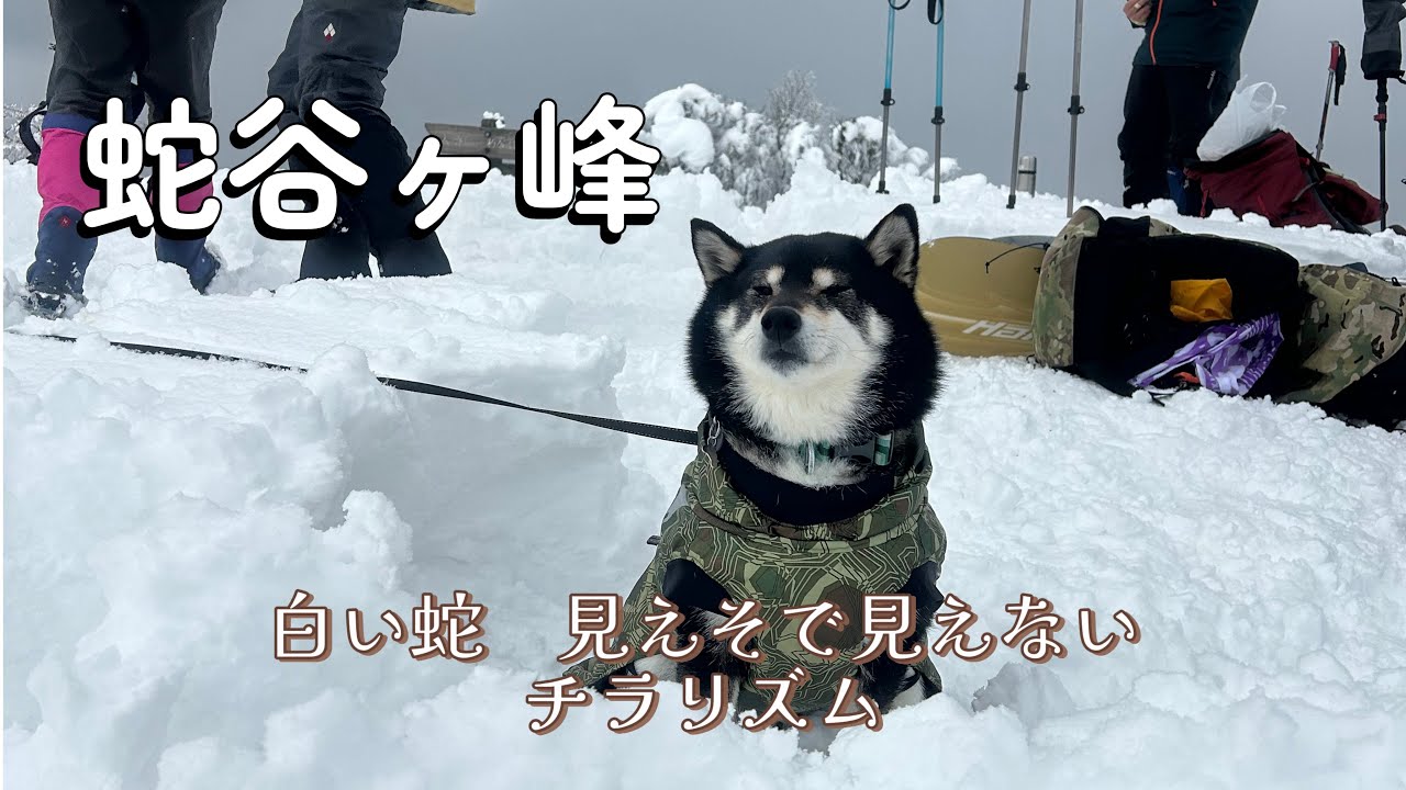 白い蛇　見えそで見えない　チラリズム　（改良版）