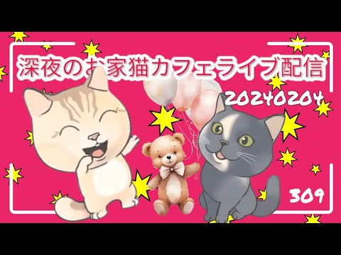 深夜のお家猫カフェライブ配信 ３０８