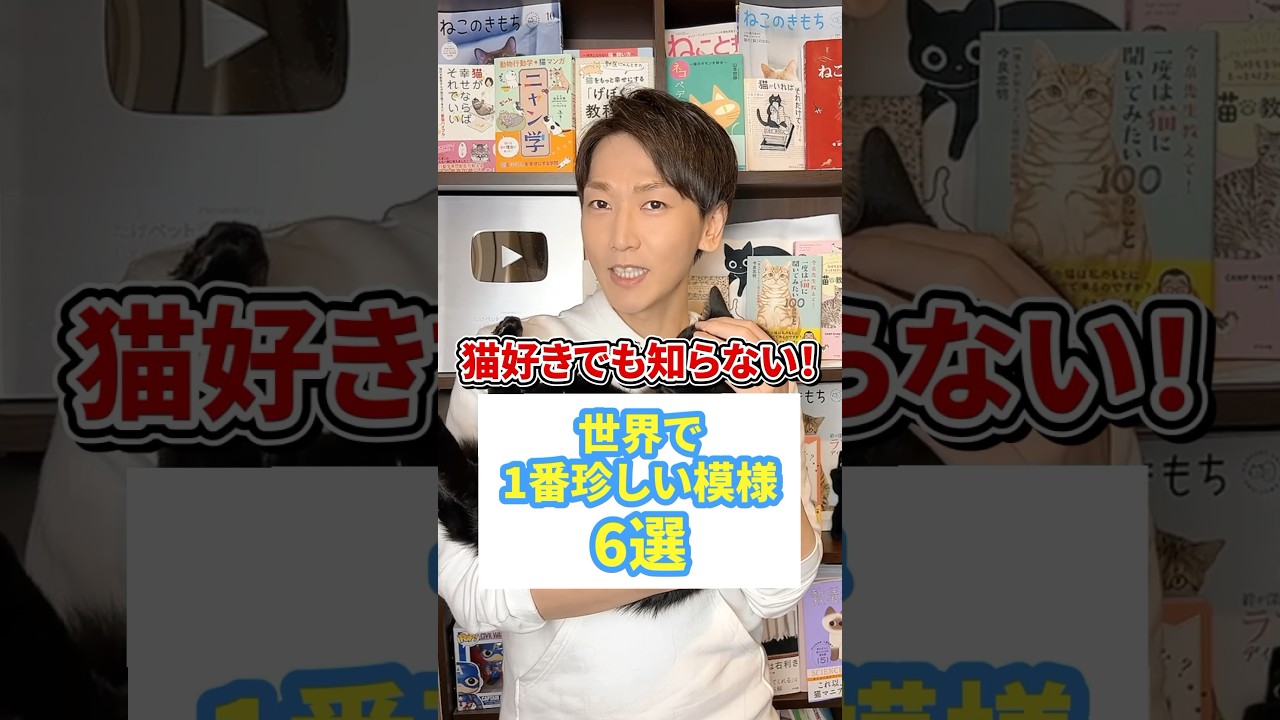 猫好きでも知らない！世界で1番珍しい模様6選 #猫 #ねこ #猫のいる暮らし