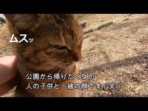 公園から帰ると言うと子供の様に不貞腐れる娘猫