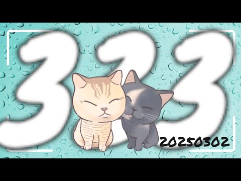 深夜のお家猫カフェライブ配信 ３３３