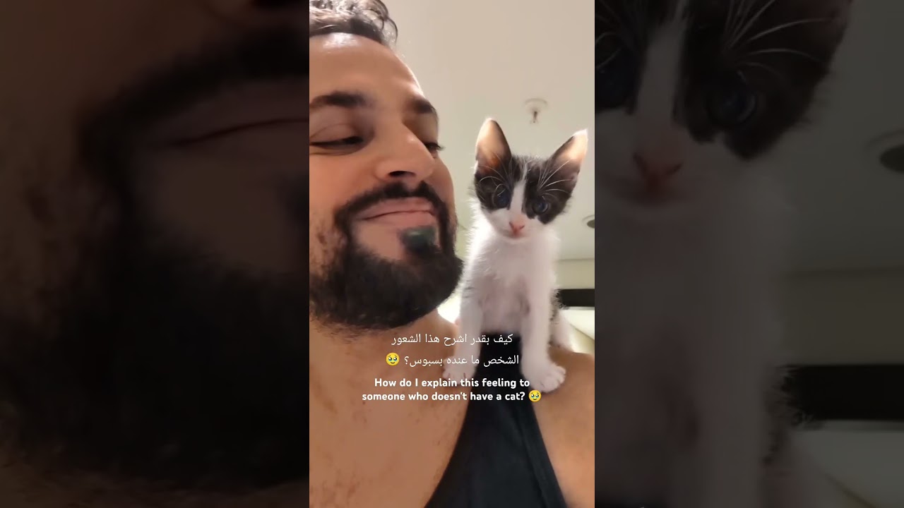 Everyone should have the cat experience ♥️🥹