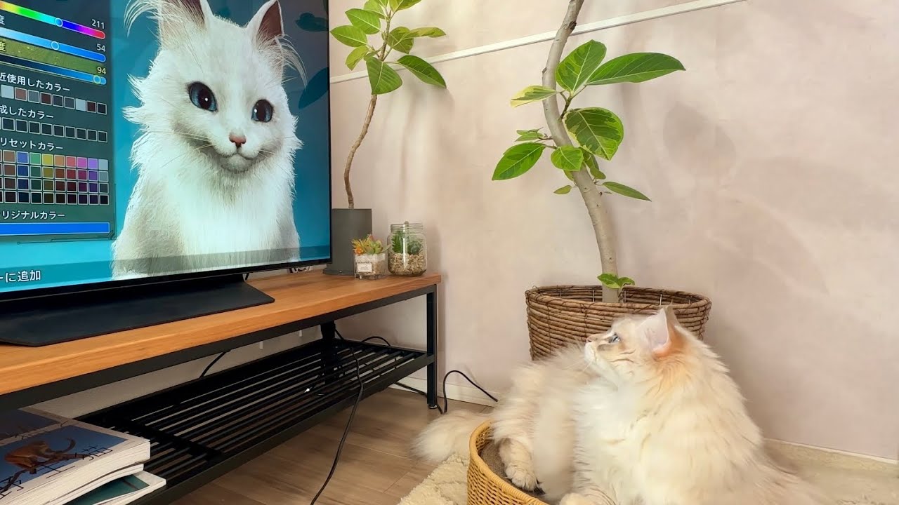 アイルーを愛猫そっくりにキャラメイクしてみた【モンスターハンターワイルズ】【サイベリアン】