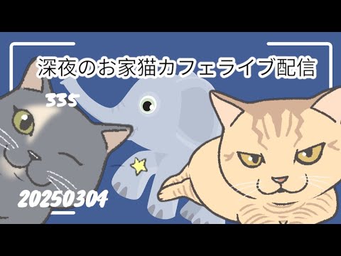 深夜のお家猫カフェライブ配信 ３３５