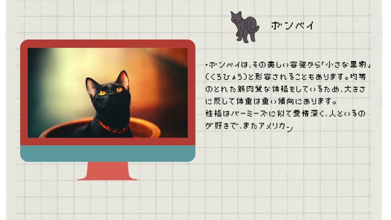 【ボンベイ】ペットリフォームならセラフ榎本　犬猫のためのリフォーム　愛犬　ペット快適環境　東京都　埼玉県　神奈川県