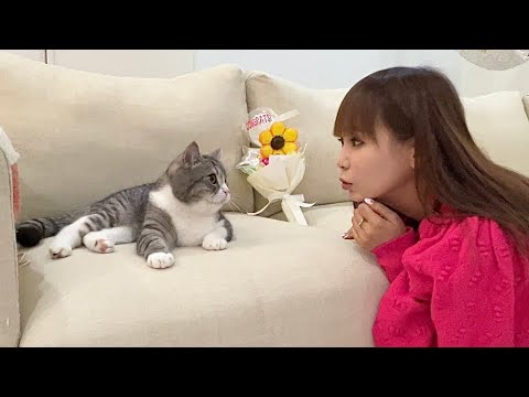 しょこたんに誕生日をお祝いしてもらった猫が大喜びでこうなりました笑