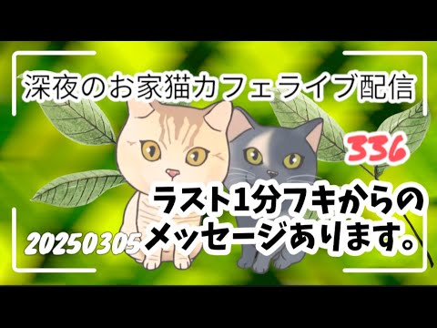 深夜のお家猫カフェライブ配信 ３３６ラスト1分にフキからのメッセージあり
