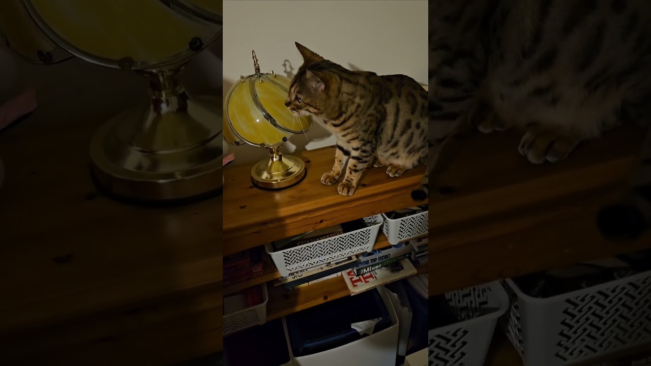 I can't believe he did it!! 😱