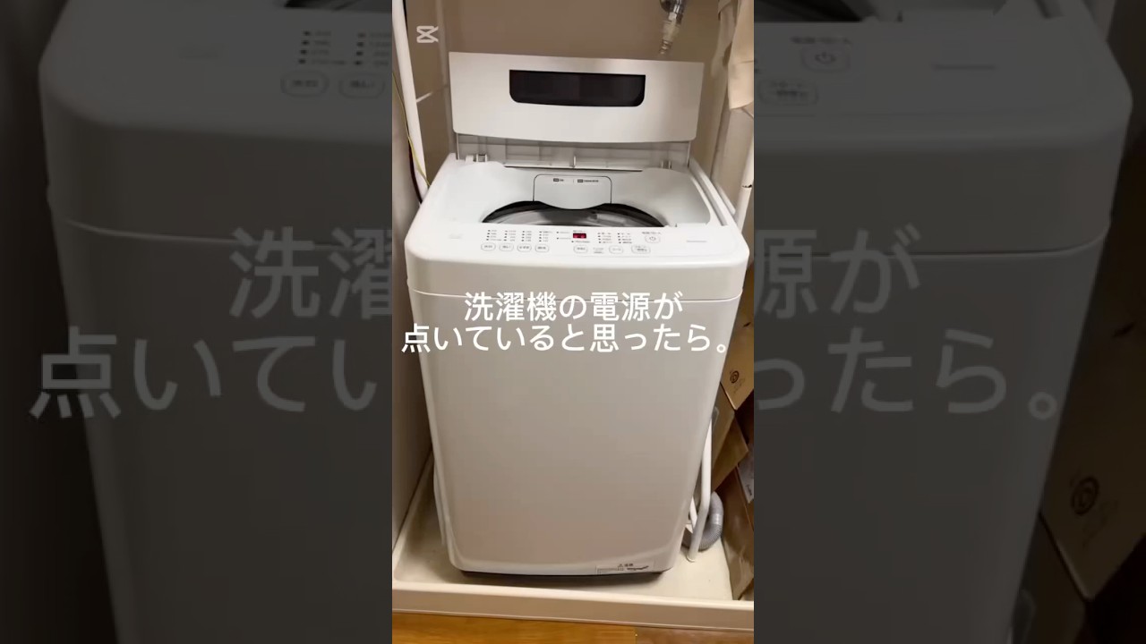 洗濯機の電源が点いていると思ったら。#ノルウェージャンフォレストキャット #猫のいる暮らし #猫 #shorts