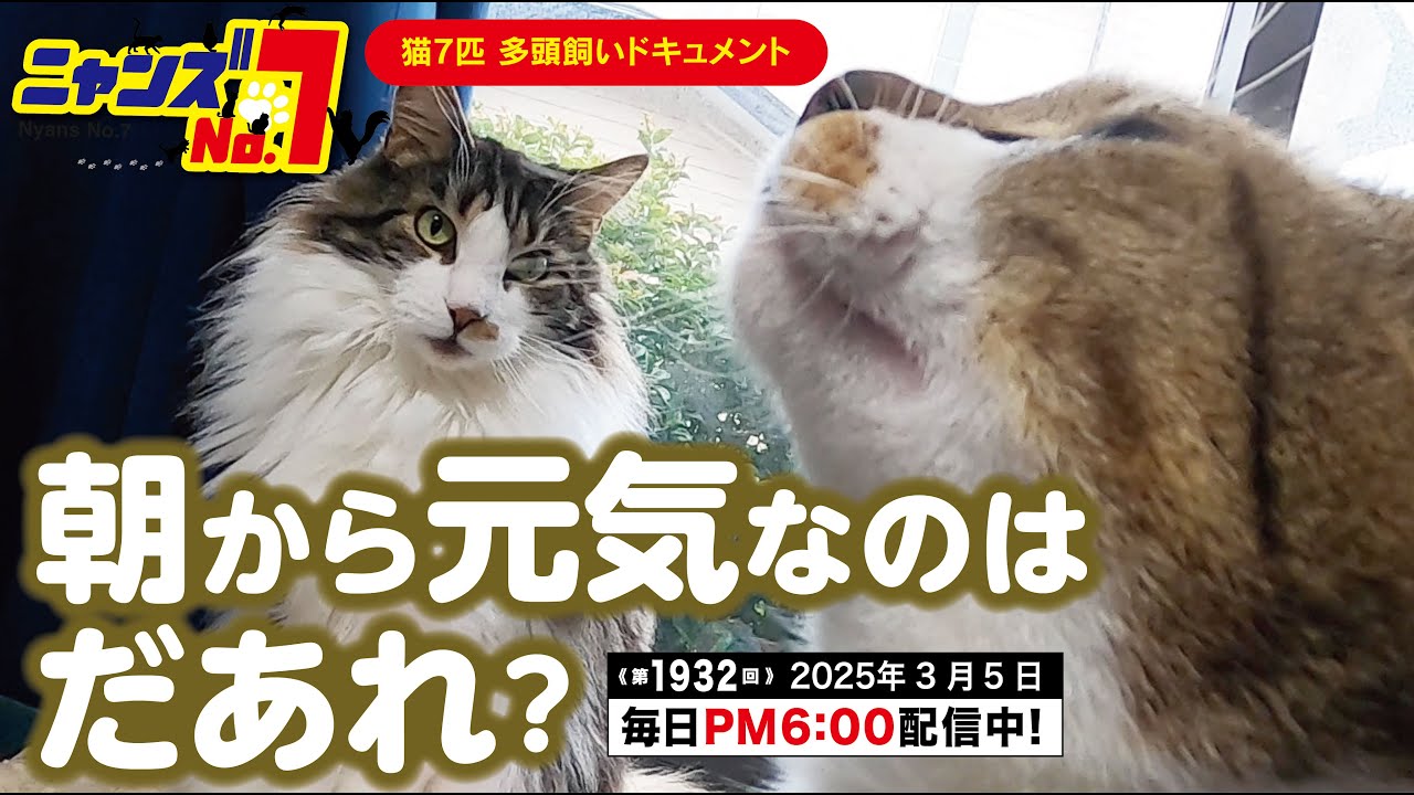 《第1932回》朝から元気なのはだあれ？