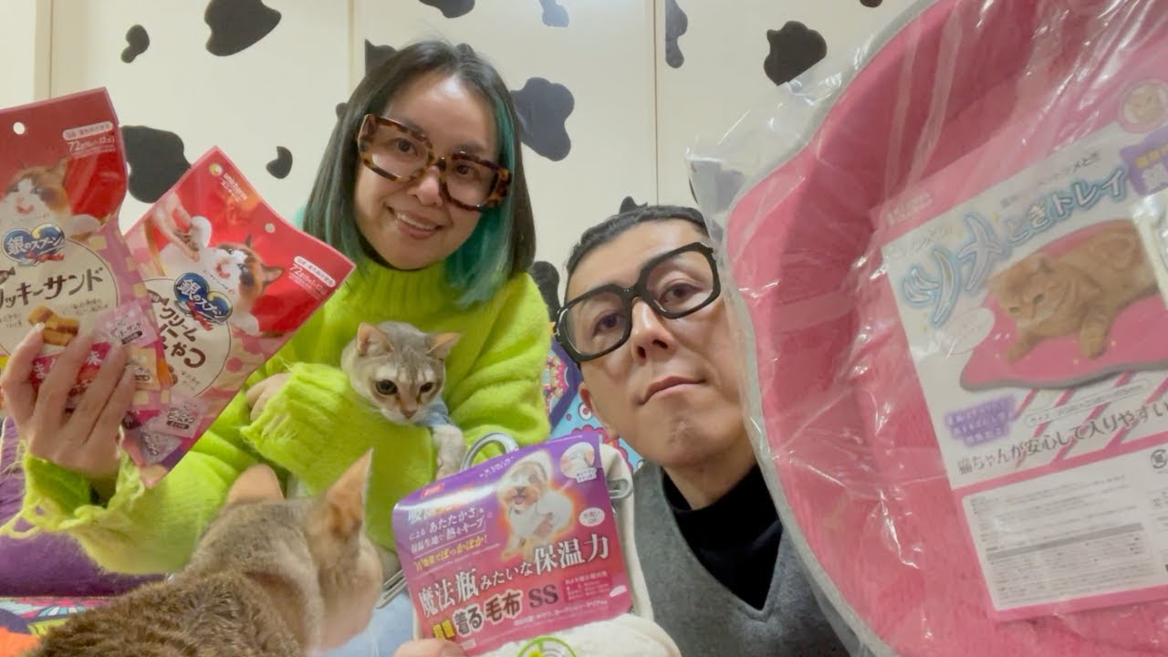 【ばぁばにもらったお土産】猫たち大喜びでした