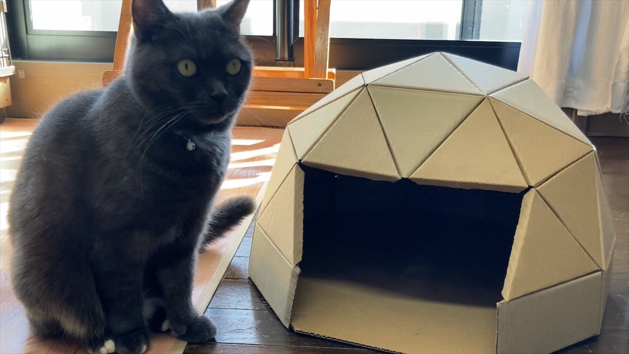 【DIY】ダンボールで猫ドームハウスを作りました ＜ I made a cat dome house out of cardboard.