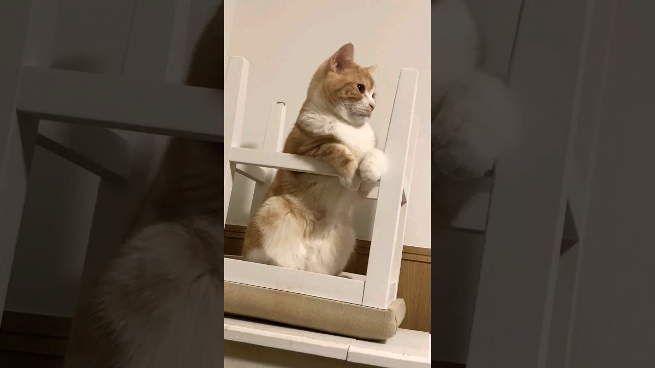 その体制かわいすぎ💕