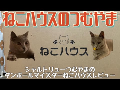 ねこハウスのつむやま〜【シャルトリューつむやまのダンボールマイスター「ねこハウス」レビュー】
