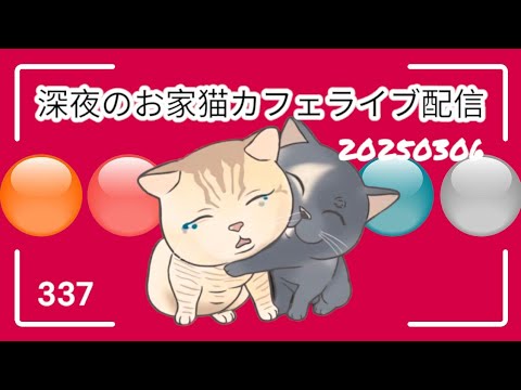 深夜のお家猫カフェライブ配信 ３３７