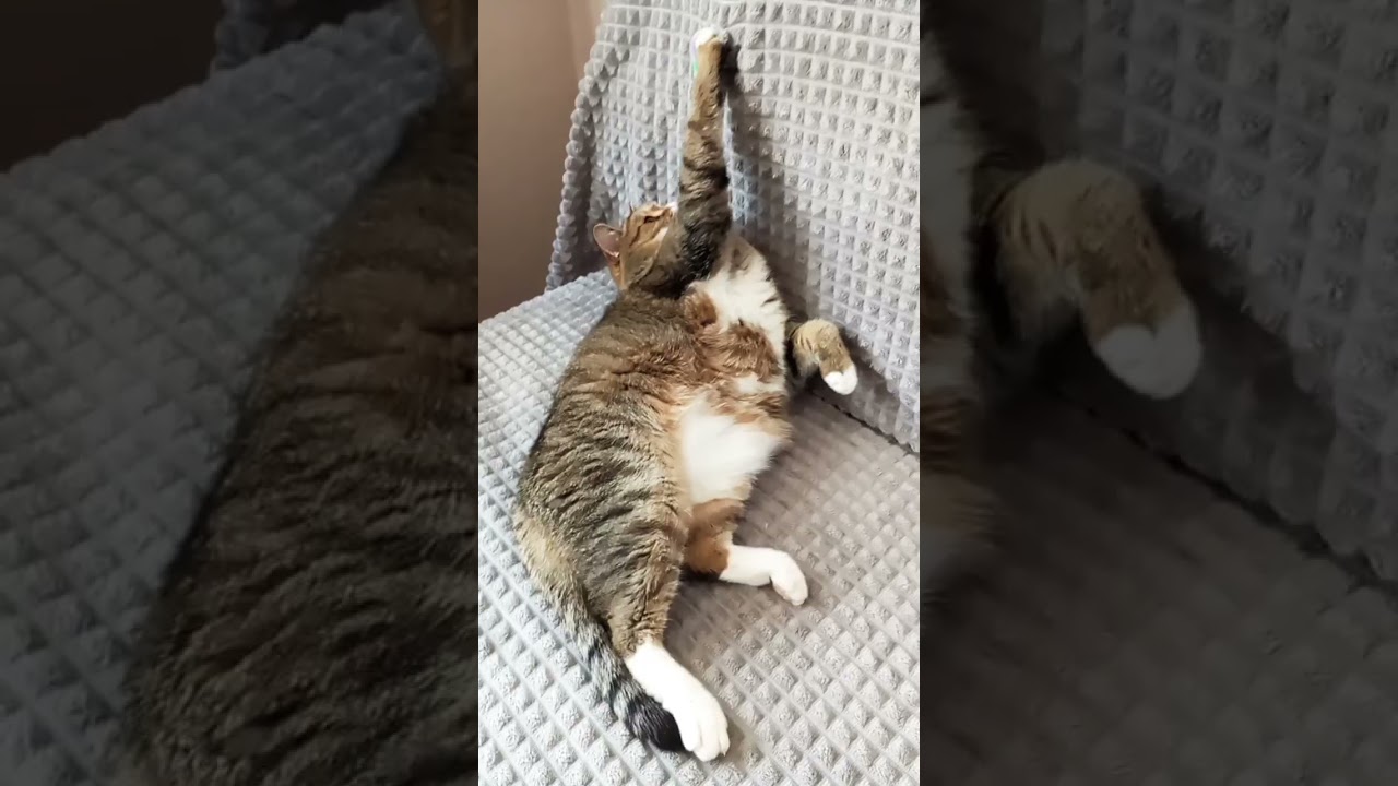 5 марта 2025 г.