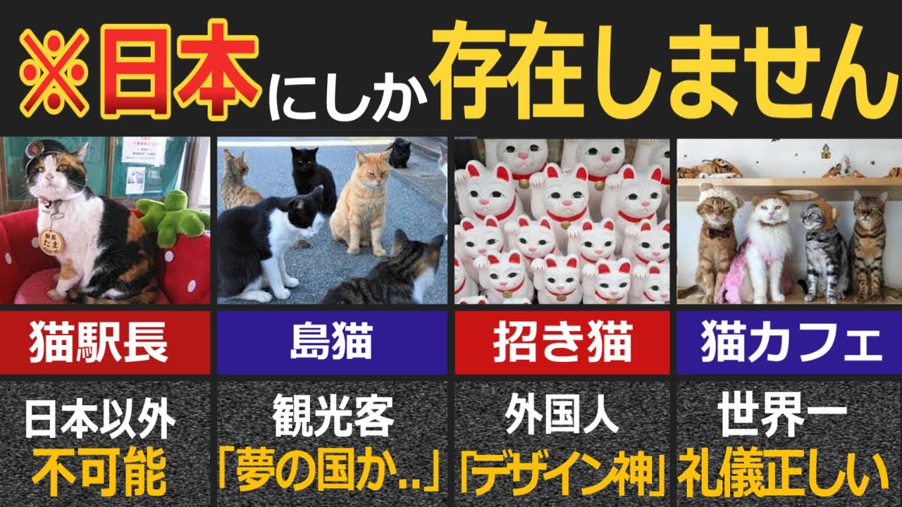 「センスの塊だわ...」外国人が驚愕した日本にしかない猫文化7選【ゆっくり解説】【海外の反応】