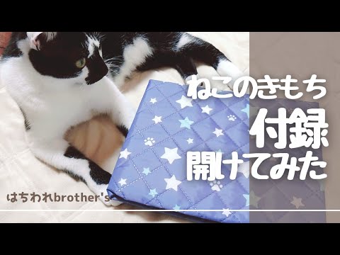 雑誌【ねこのきもちの付録を開けてみた9月号】3way防火キルトマット編　I tried to open the appendix of the magazine nekonokimoti