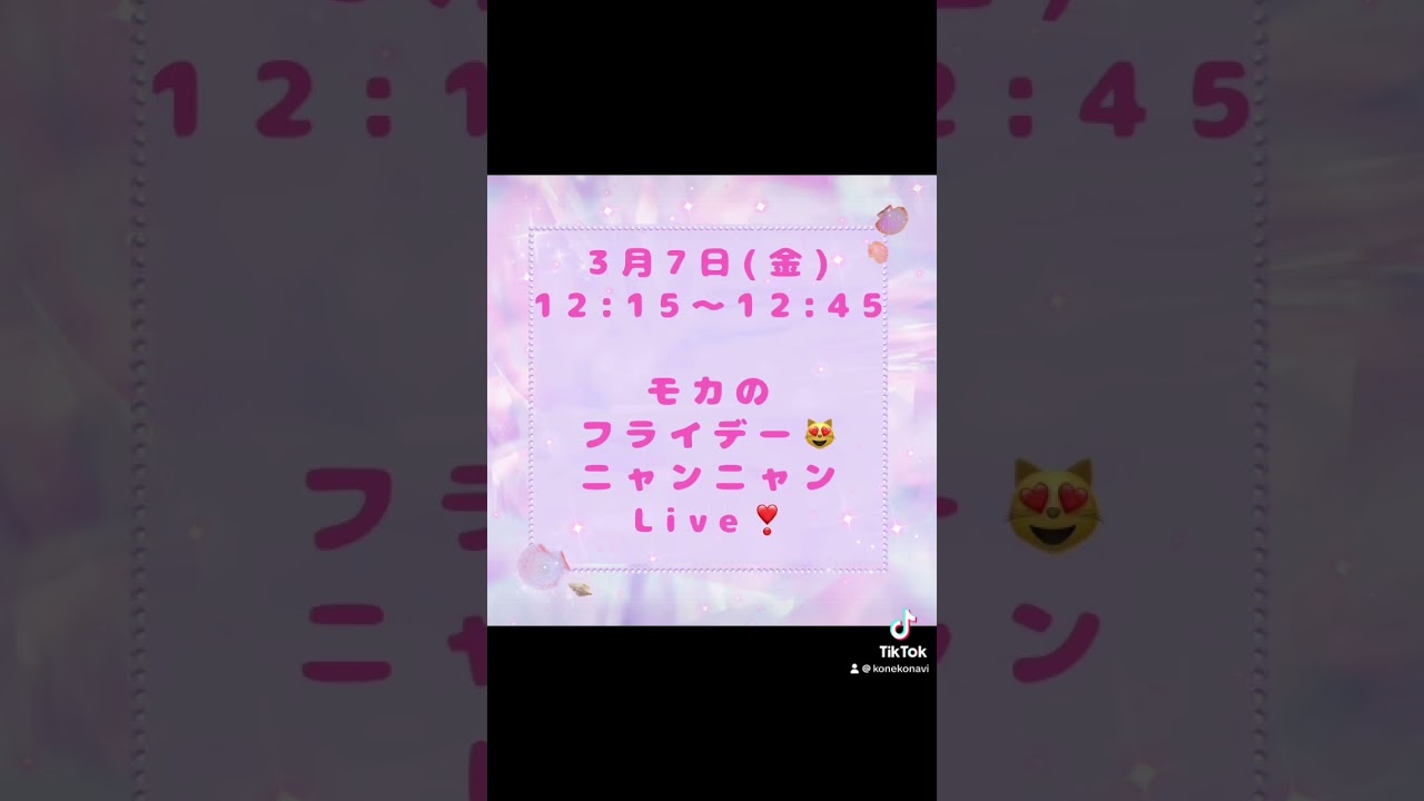 3/7 (金)12:15〜#サイベリアン の#子猫 ご紹介ライブ😻ご家族様募集中の子猫をご紹介❣️抱っこができるサイベリアンの子猫をお探しの方は、是非ライブをご覧下さい。#ペットショップ