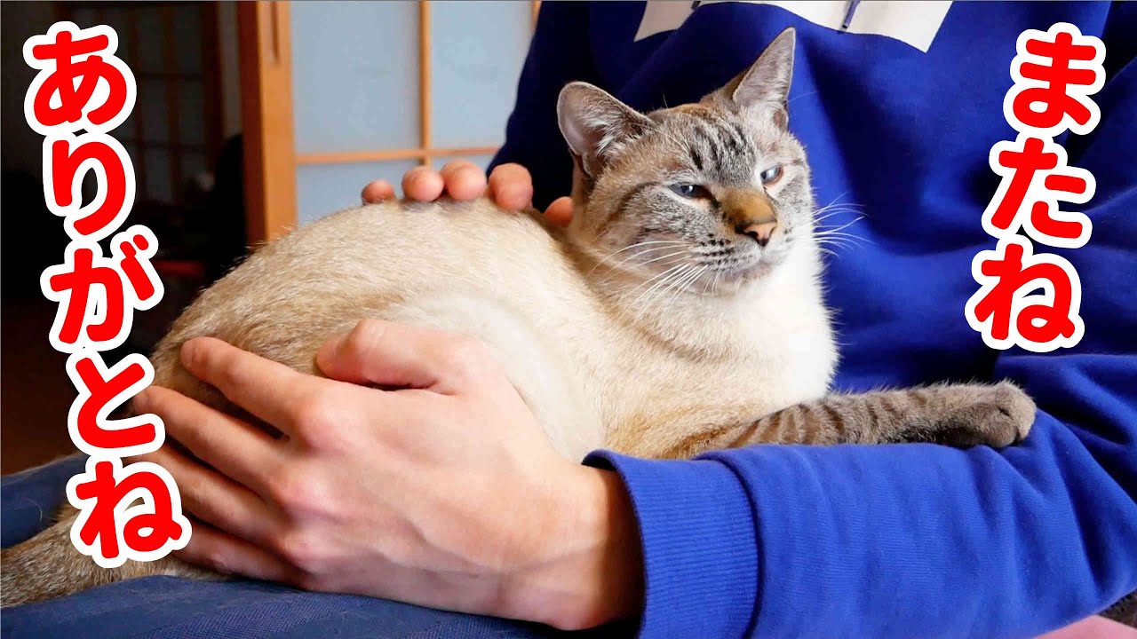 デュフィとしばらくお別れすることになりました