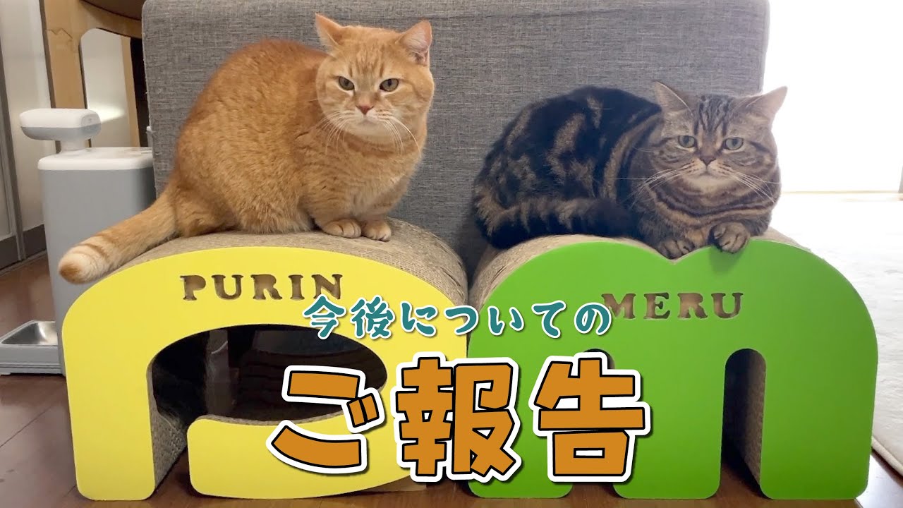 【ご報告】これが最後の〇〇〇です！