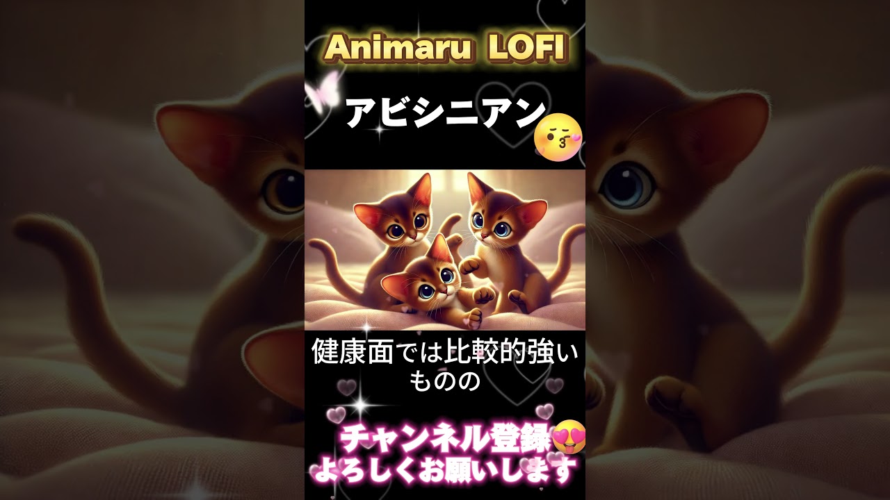 ＃shorts #cat #lofi アビシニアン　@AnimaLOFI-co8or1
