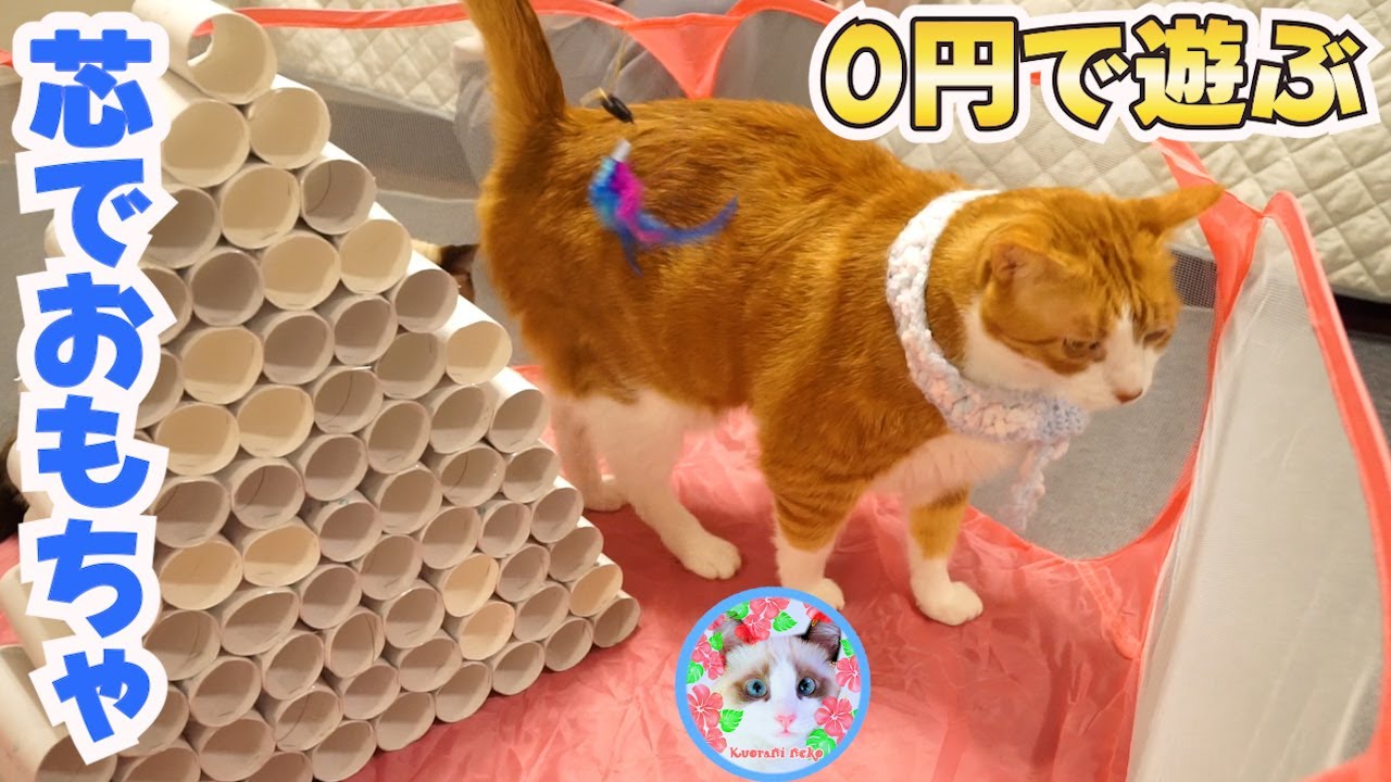 【簡単DIY】猫の0円おもちゃトイレットペーパー芯編で遊びます Handmade crafts for cats
