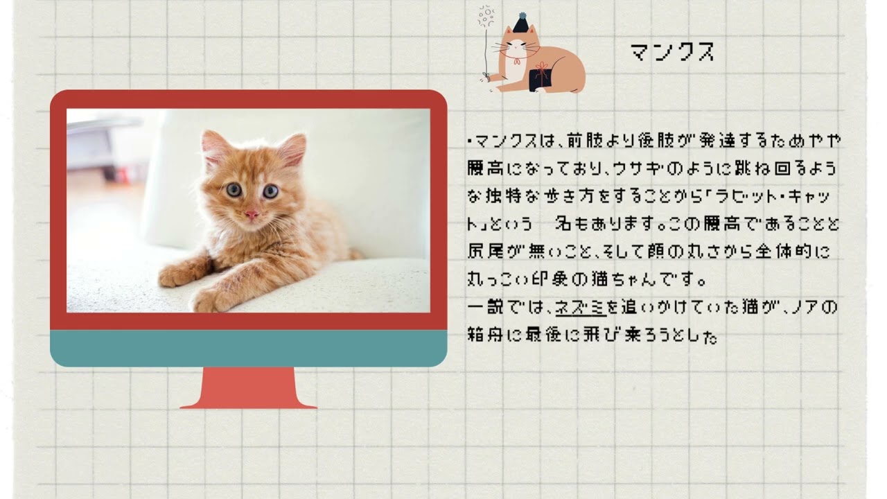 【マンクス】ペットリフォームならセラフ榎本　犬猫のためのリフォーム　愛犬　ペット快適環境　東京都　埼玉県　神奈川県