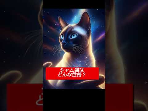 シャム猫の魅力とは？活発で愛情深い性格を知ろう！ #shorts