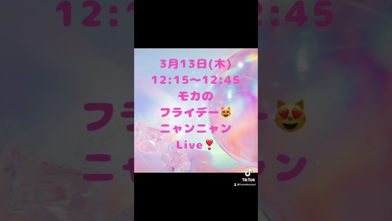 3/13 (木)12:15〜12:45#サイベリアン の#子猫 ご紹介ライブ😻ご家族様募集中のご紹介ライブを配信！抱っこが大好きな子猫を探すなら吉祥寺のロイヤルキャッツで❣️#ペットショップ